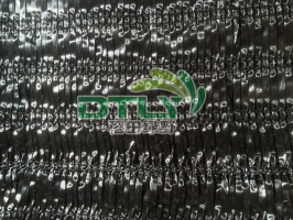 人參91视频色板官网下载