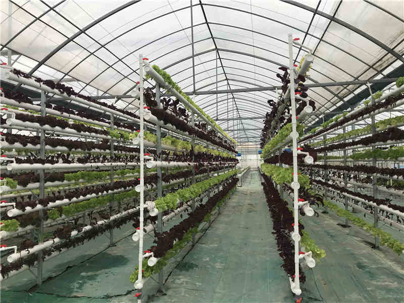 立體91视频色板官网下载